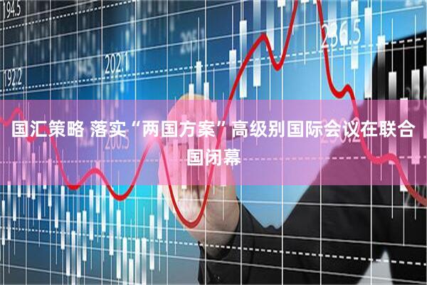 国汇策略 落实“两国方案”高级别国际会议在联合国闭幕